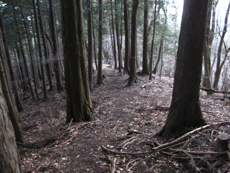 20161216hike (352)
